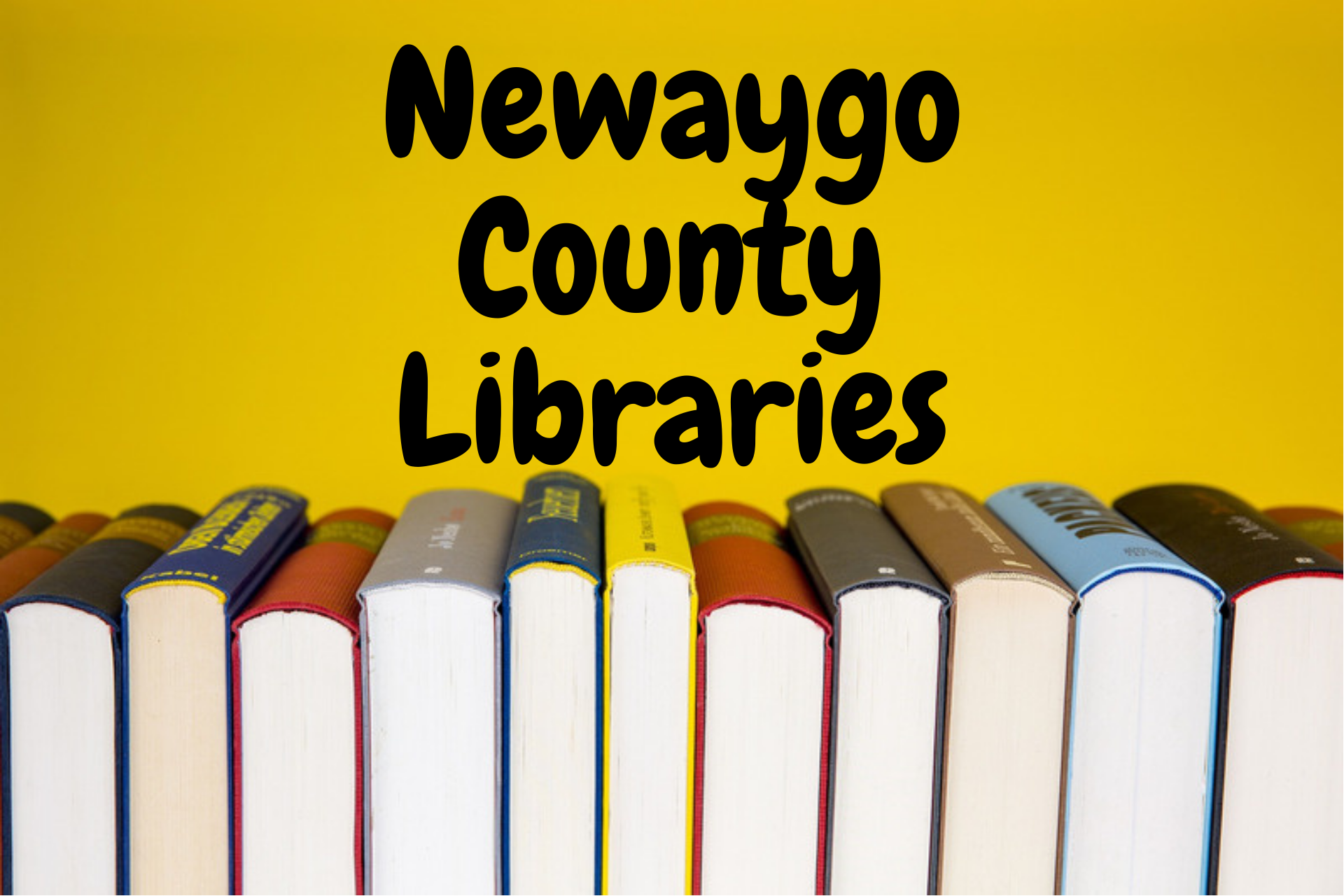 Newaygo County Libraries.png