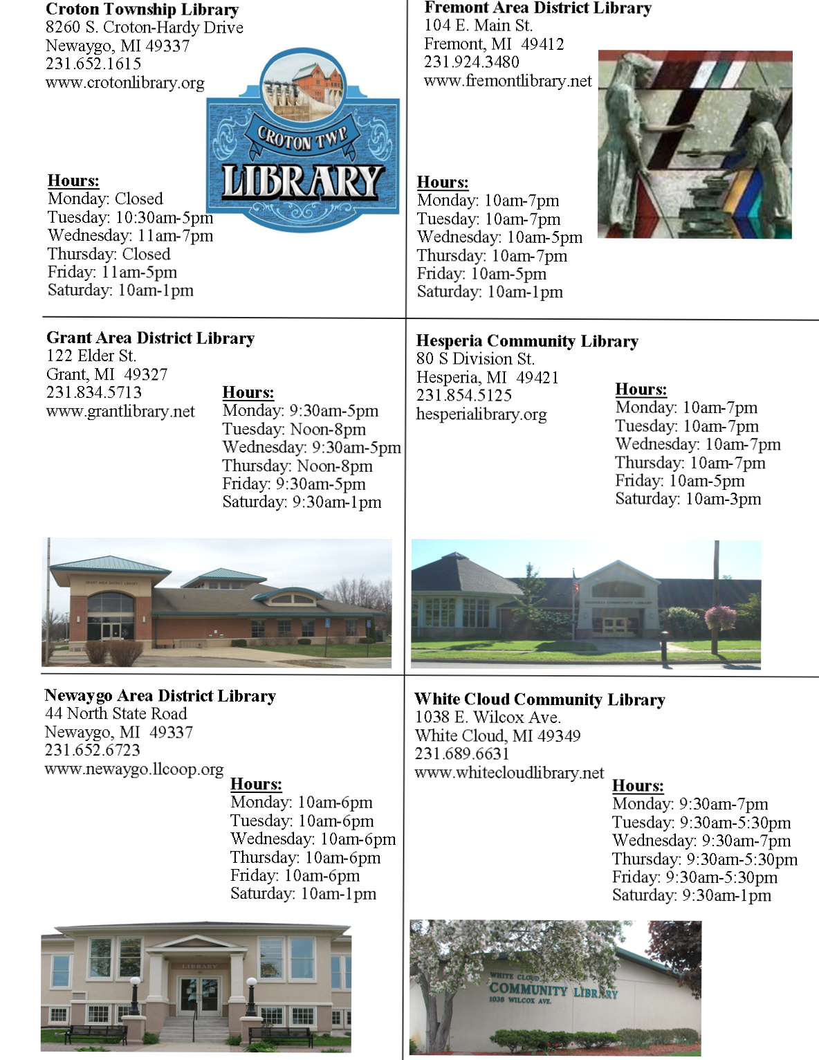newaygo_county_libraries (3).png